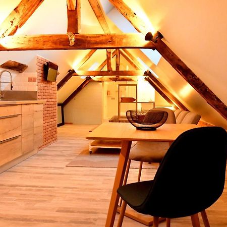 Loft Sous Les Combles - Loft Under The Rafter Apartamento Rodez Exterior foto