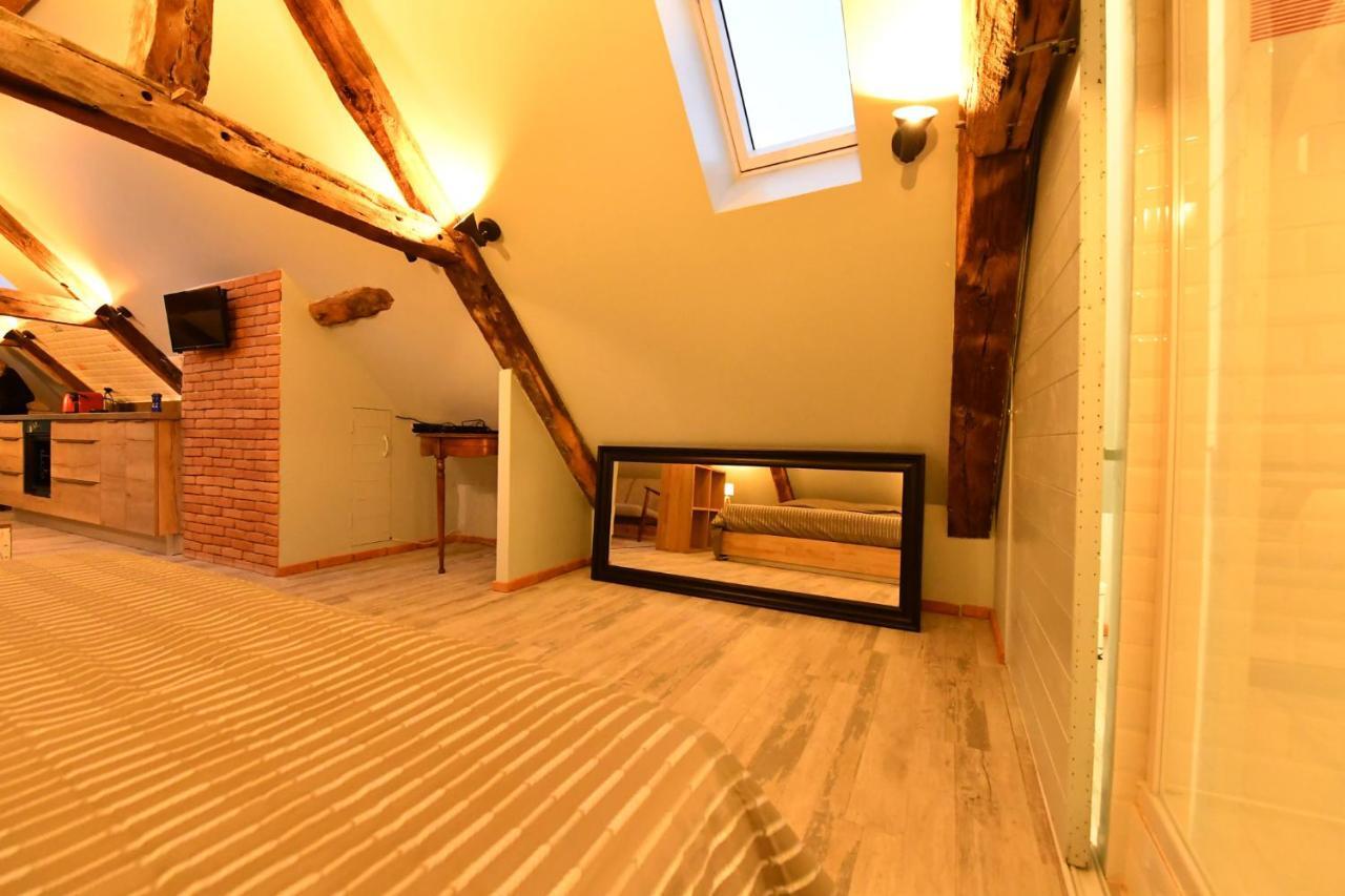 Loft Sous Les Combles - Loft Under The Rafter Apartamento Rodez Exterior foto